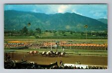 Arcadia CA-California, Santa Anita Racetrack, Scenic, Vintage Postcard picture