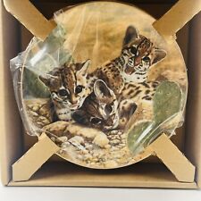 Charles Frace Small Wonders Of The Wild “Three Of A Kind” 8.5” Plate  picture