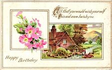 Vintage Postcard- Birthday, All that you would wish yoursel Posted 1910 Embossed picture