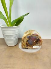 Rare brown red purple petrified wood with crystal polished 1009gr 341 picture