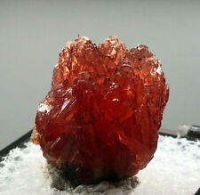 Excellent, gemmy RHODOCHROSITE CLUSTER from HOTAZEL, KMF, SOUTH AFRICA 2.4 cm picture