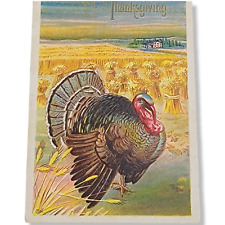 Vintage D. Goldie Thanksgiving Greetings Postcard  TomTurkey Field Scene 1910 picture