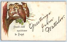 Waterloo Iowa Postcard Greetings Embossed Should O'uld Acquaintance c1910's Owls picture