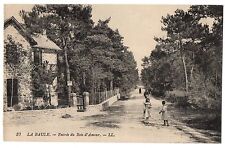 CPA 44 - LA BAULE (Loire Atlantique) - 37. Wood of Love Entrance - LL picture