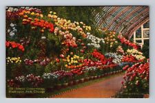 Chicago IL-Illinois, Washington Park Interior Conservatory, Vintage Postcard picture