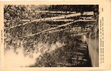 Vintage Postcard- SILVER BIRCHES, A LOT OF GOOD THOUGHTS, A LOT OF R Early 1900s picture