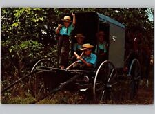 c1970 Greetings From Amish Country Pennsylvania PA Kids Wagon Farming Postcard picture