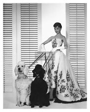AUDREY HEPBURN ACTRESS WITH DOGS PUBLICITY 1954 PHOTO 8X10 REPRINT picture
