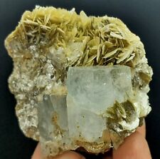 96 Gram Top Quality Aquamarine Crystal On Mica Specimen From Nagar Mine Pakistan picture