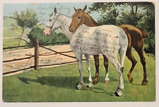 Beautiful Horses Antique Postcard 1906 Brown White Pasture Fence French picture