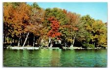 Findley Lake New York Unused Postcard picture