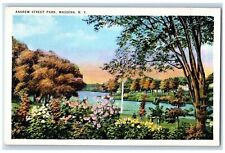 c1910's Andrew Street Park Scenic View Massena New York NY Vintage Postcard picture