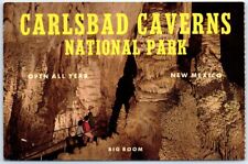 Postcard - Big Room, Carlsbad Caverns National Park, New Mexico, USA picture