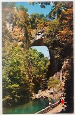 Vintage Natural Bridge Virginia VA The Natural Bridge During Day Postcard 1963 picture