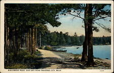 Birchwood Road East Bay Traverse City Michigan ~ 1920s vintage postcard picture