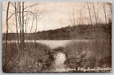 Turtle Pond Stony Brook Reservation Waterfront Forest Black White VNG Postcard picture