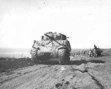 WWII Photo US Marine M4 Sherman Tank on Iwo Jima USMC  World War Two WW2 3253 picture
