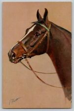 Horse Portrait Artist Signed J Jean Rivst Vtg Stehli Postcard c 1910s No. 152 picture
