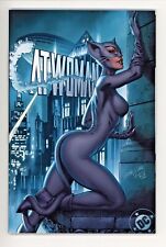 DC's Catwoman 80th Anniversary Issue NM Campbell Sanders picture