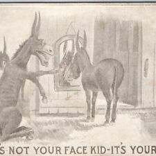 c1910s Anthropomorphic Donkey Mirror Not Your Face Kid Postcard Stewart A.C. A64 picture