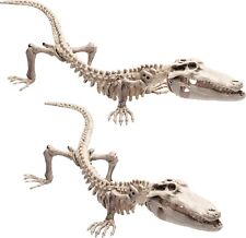Crocodile Halloween Skeleton 20