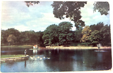Portland Maine Deering Oaks c1954 Pond Man Feeding Ducks Postcard  -a10 picture