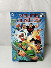 Young Justice Book One: The Early Missions Paperback Art Baltazar picture