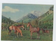 Postcard Vintage Holographic 3D horse mountains postcard ranch USA picture