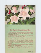 Postcard The Legend of the Christmas Rose picture
