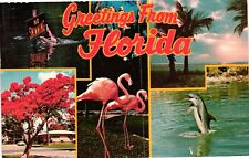 Vintage Postcard- SCENES FROM FLORIDA, FL. picture