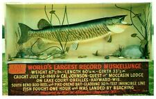 Hayward WI Moccasin Bar Lake Court O'Reilles Largest Fish Vintage Postcard picture