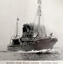 Whaling Ship Southern Maid 1926 Nautical Antique Print Whale Hunting DWW4B picture