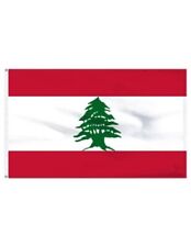 Lebanon 2' x 3' Indoor Polyester Flag picture