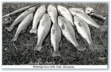 Greetings From Little Falls Minnesota MN Black Bass Fishes RPPC Photo Postcard picture