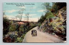 Postcard Bridle Path Schenley Park Pittsburgh Pennsylvania, Antique M1 picture