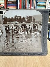 2 EARLY 1900s FISHING SV PHOTOS CHENOOK SALMON IN OREGON + DRYING FISH IN ALASKA picture