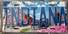 INDIANA STATE LICENSE PLATE NOVELTY FRIDGE MAGNET  picture