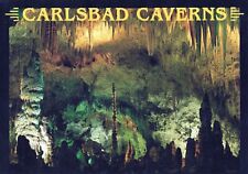 Carlsbad Caverns New Mexico 4x6 Postcard picture