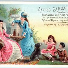 c1880s Ayer's Sarsaparilla Trade Card Bourgeoisie Beautiful Litho Cute Dog C8 picture