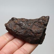 181g  Muonionalusta meteorite part slice C7195 picture