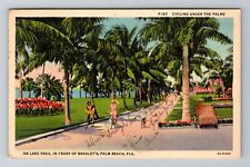 Palm Beach FL-Florida, Cycling on Lake Trail, Antique Vintage Souvenir Postcard picture