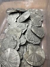 Pyrite Sun 'Miner's Dollar' Dealer Lot Set of 50 Pieces picture