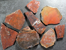 PJ: Mixed Lot of Slabs - Hand Select Red Themed Jaspers and Agates - 1 LB, 5 Ozs picture