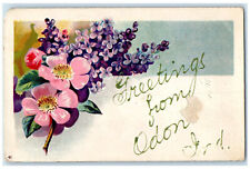 1908 Greetings from Odon Indiana IN Farmersburg IN Floral Embossed Postcard picture