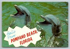 Hello From Pompano Beach Florida Dolphins Vintage Posted 1980 Postcard picture