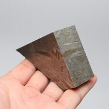 353g  Muonionalusta meteorite part slice C6804 picture