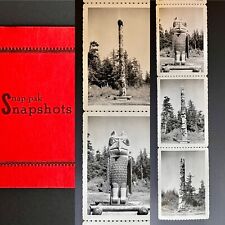 Vintage 1949 Photo Postcards 9 Totem Poles • Unused Real Snapshots Set picture