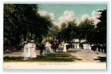 1908 Bellevue Park Buffalo New York NY Lockport Posted Antique Postcard picture