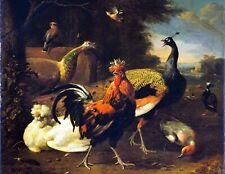 Art Oil painting Melchior-De-Hondecoeter-A-Cockerel-with-Other-Birds art picture