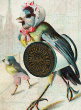 1883 Willimantic Thread Anthropomorphic Bird & Baby Chick P139 picture